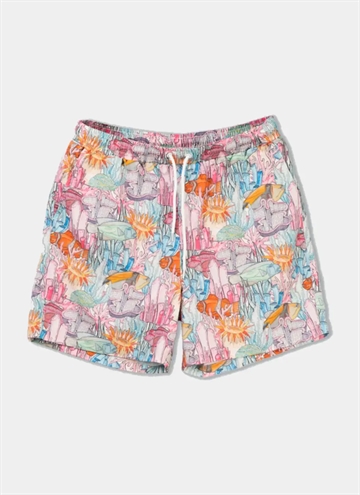 Lakor The Underwater Garden Swim Sho